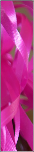 Weddings, Events, Clubs, Parties, and Red Carpets by Driftwood Photography Studios