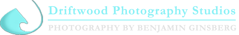 Driftwood Photography Studios